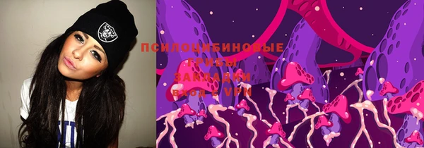 винт Гусев
