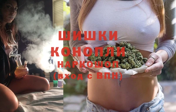 винт Гусев